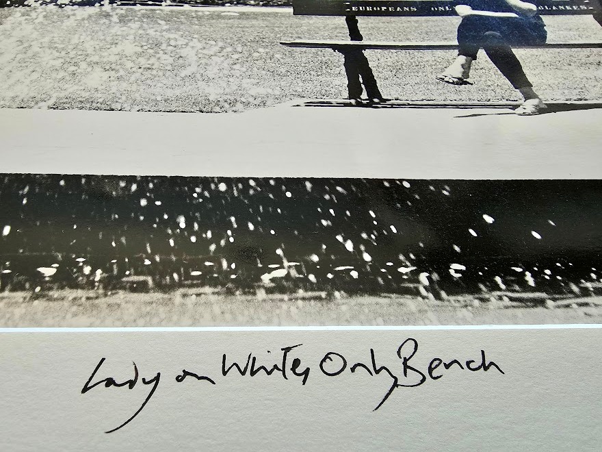 Johannesburg 1960s, lady sitting on whites only bench in a park near a fountain by Michael Joseph – Image 4