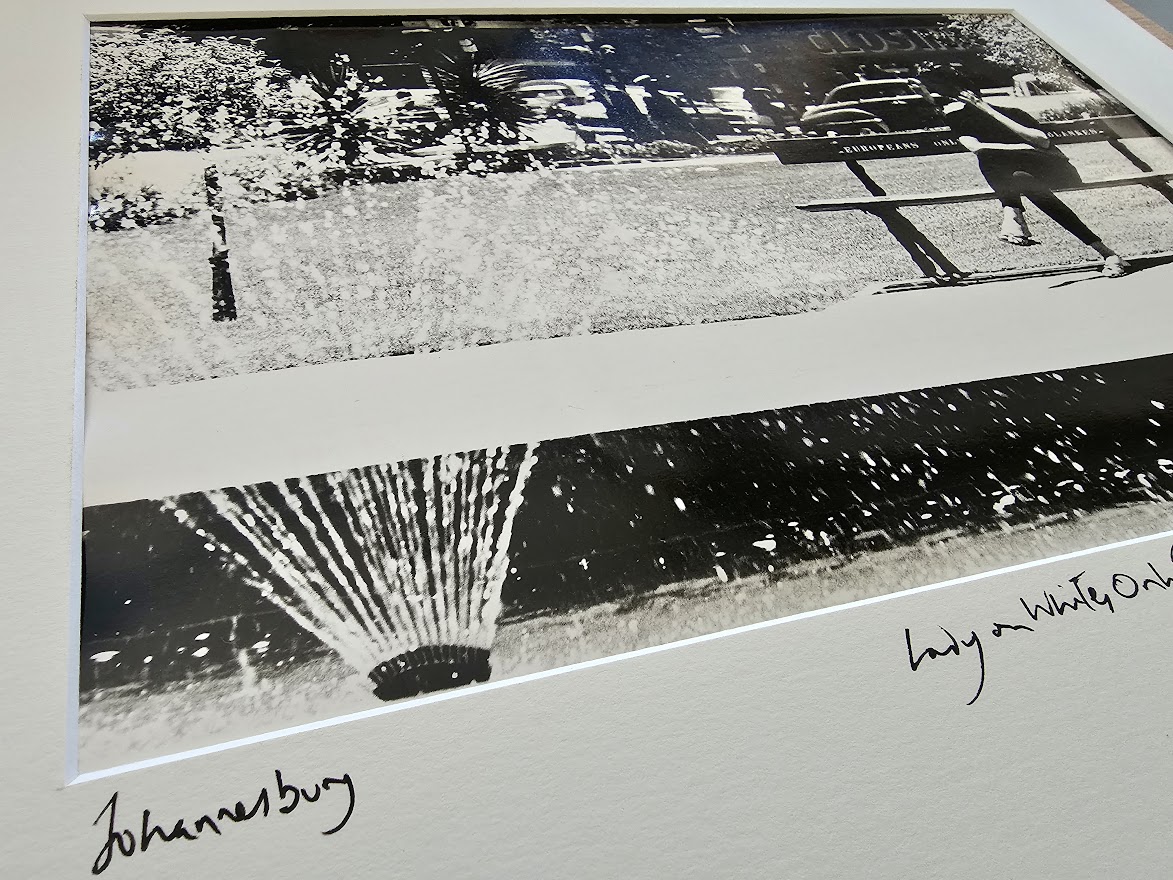 Johannesburg 1960s, lady sitting on whites only bench in a park near a fountain by Michael Joseph – Image 5