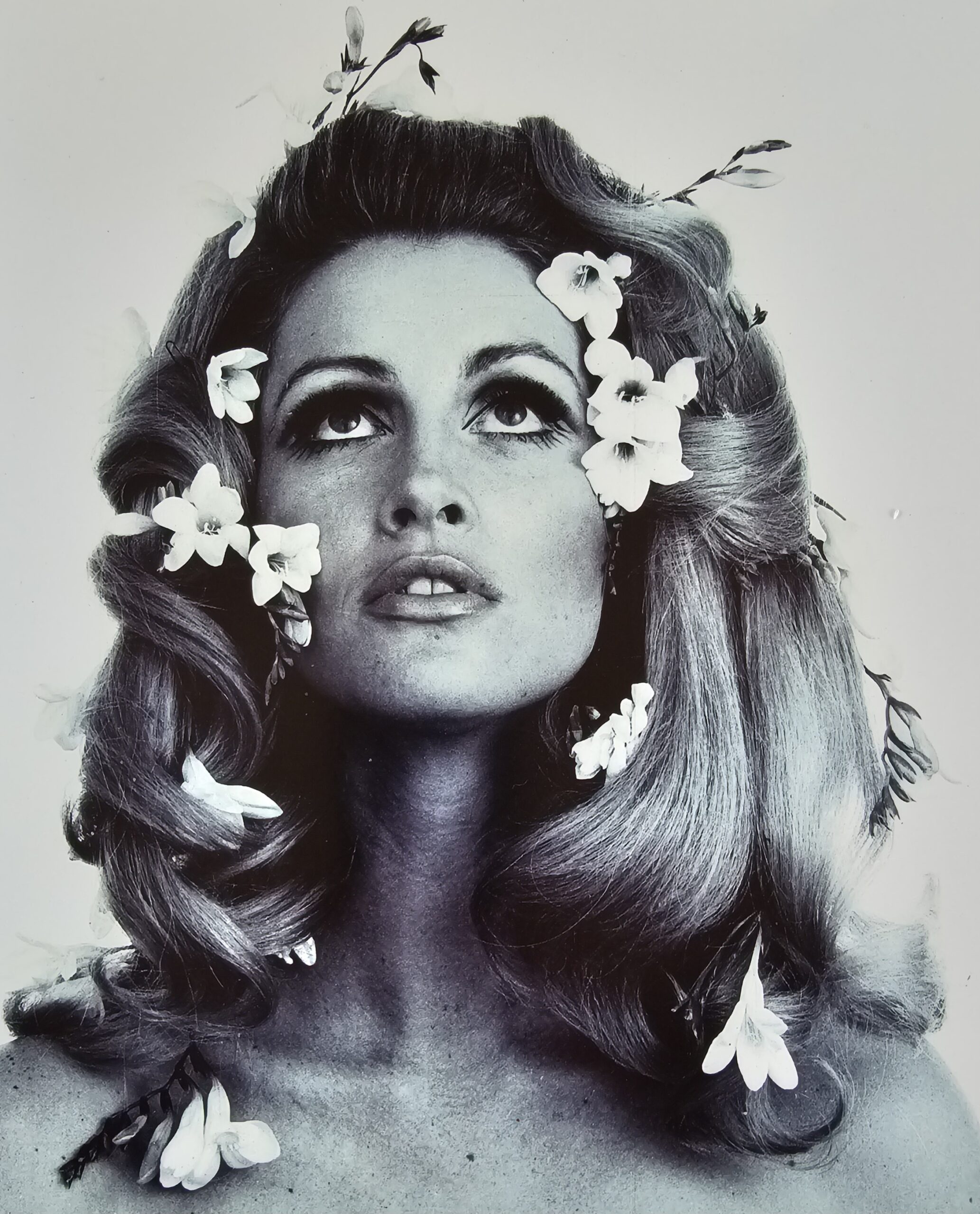 Flowers in hair, Londres années 60, portrait femme visage sublime et aux fleurs dans les cheveux par Michael Joseph