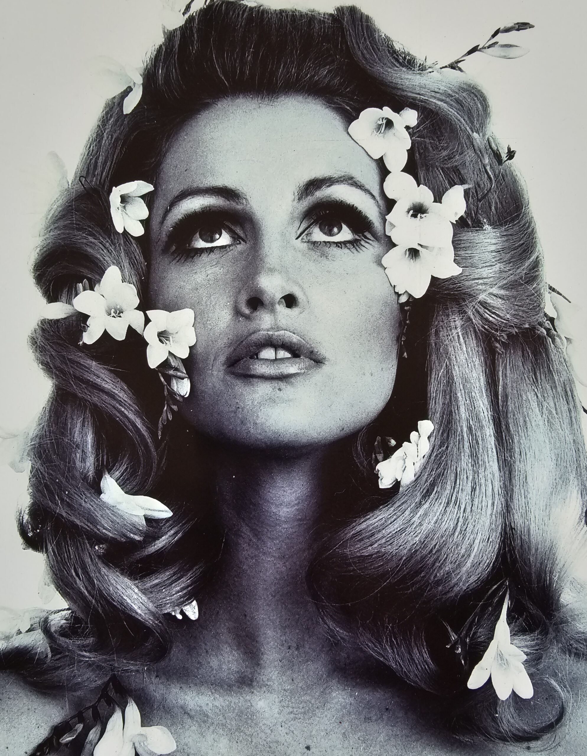 Flowers in hair, Londres années 60, portrait femme visage sublime et aux fleurs dans les cheveux par Michael Joseph – Image 3
