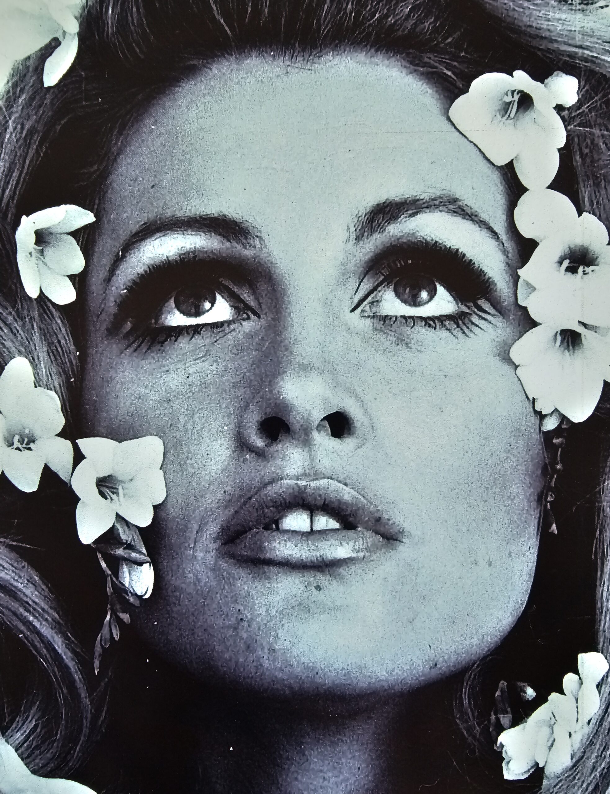 Flowers in hair, Londres années 60, portrait femme visage sublime et aux fleurs dans les cheveux par Michael Joseph – Image 2