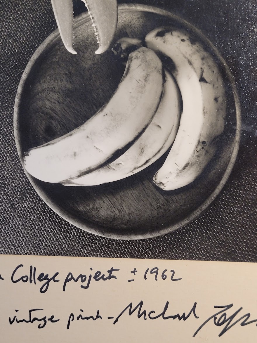 Un homard et trois bananes (tirage authentique noir et blanc réalisé en chambre noire) par Michael Joseph – Image 3