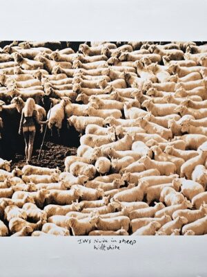 Nude model surrounded by sheep, sepia tone on matt paper by Michael Joseph