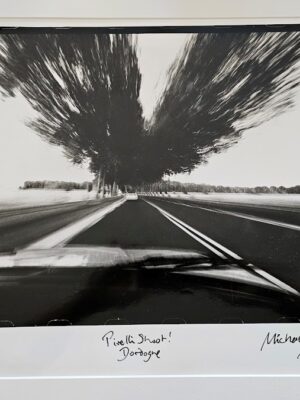 Streaky road, avenue of plane trees in motion, black and white one-off authentic darkroom print
