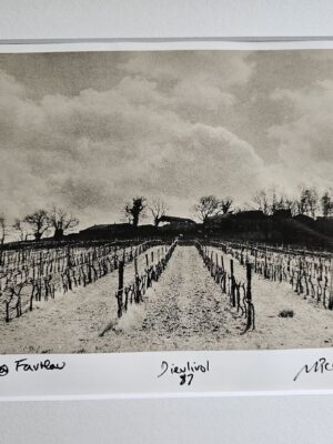 Vignes dans le brouillard, l'hiver dans l'Entre-Deux-Mers, viticulture girondine toute l'année par Michael Joseph