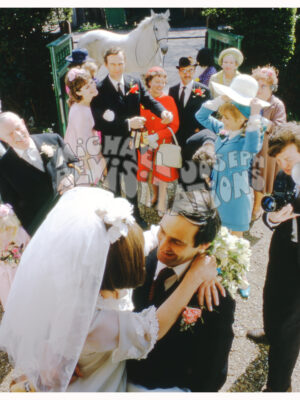 White Horse Wedding Collection Groovy Groups Alcohol, Photographie publicitaire londonienne Carte postale vintage par Michael Joseph