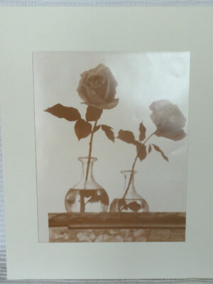 Rose et son reflet dans le miroir, nature morte - Michael Joseph