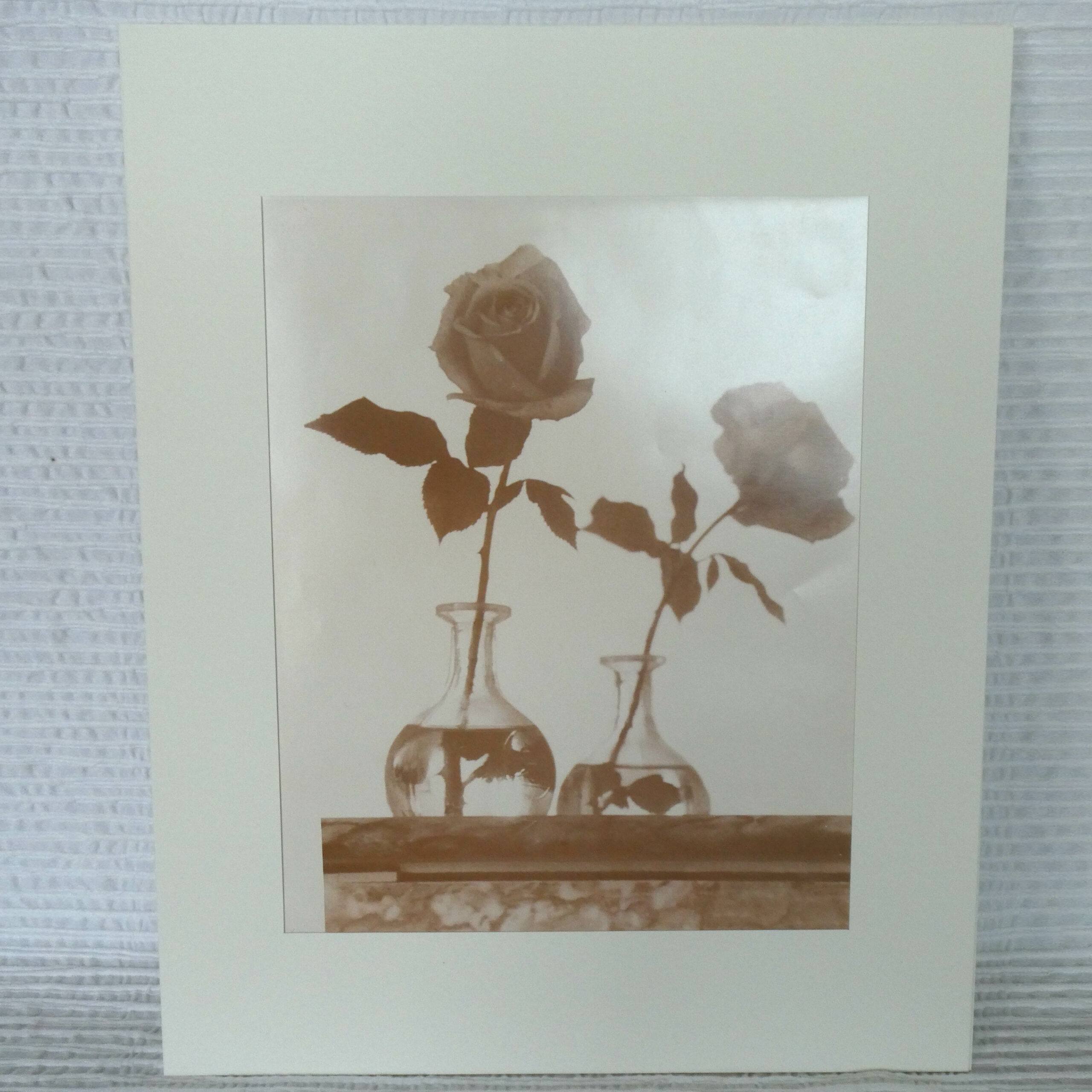 Rose et son reflet dans le miroir, nature morte - Michael Joseph