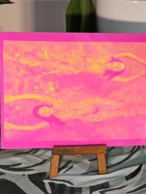 Swimming opposite, pink edition - from the Pool Ladies series for the Playboy Interview photo-shoot on aluminium