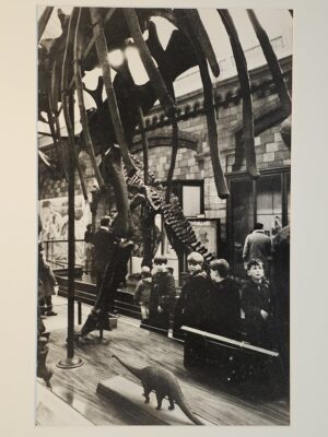 Des enfants admirent les dinosaures au Musée d'histoire naturelle de Londres par Michael Joseph