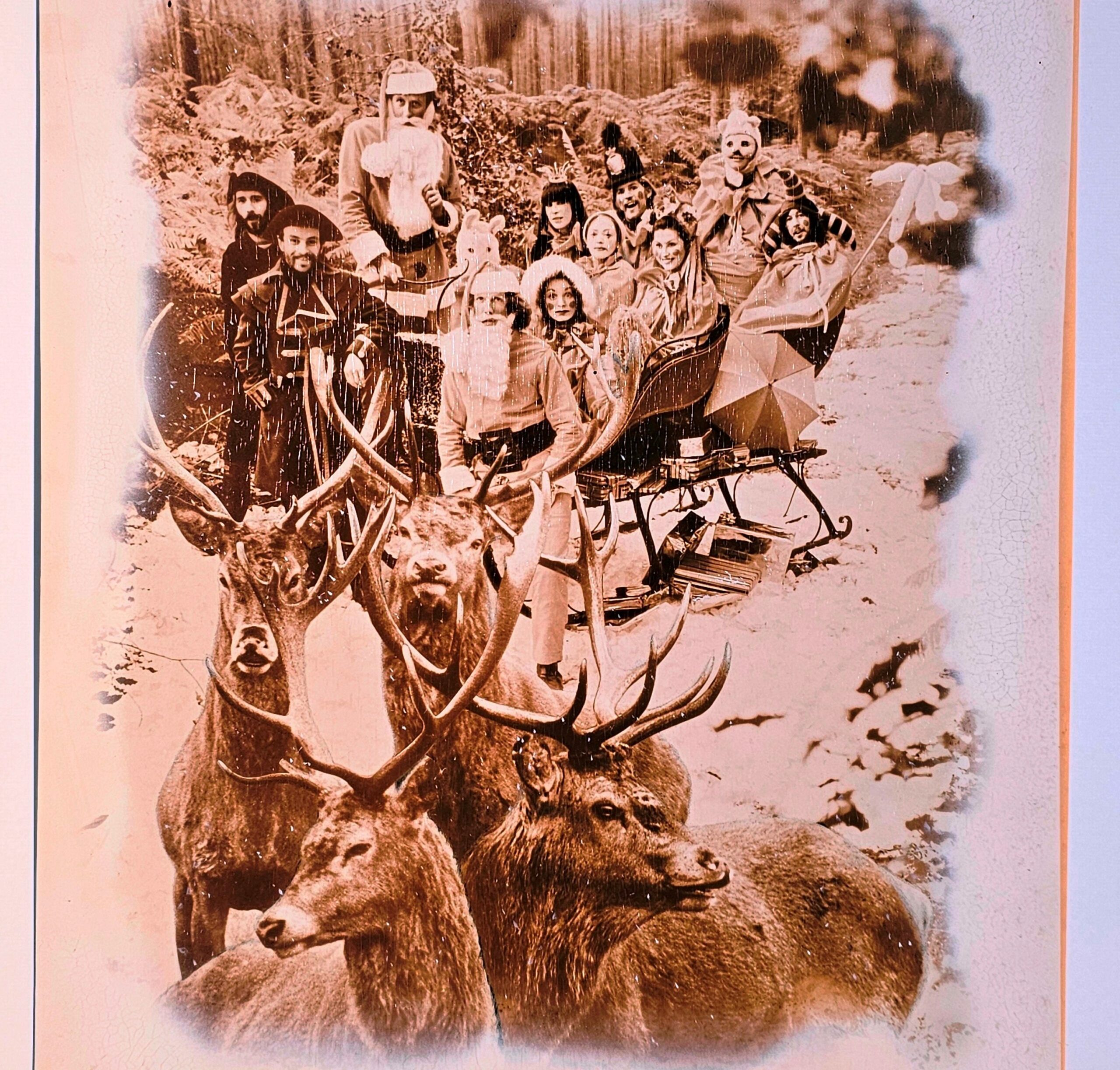 Renne tirant un traîneau dans les bois de Bedham, tirage d'essai unique en sépia pour la carte de Noël de l'hiver 1968