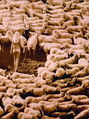 Magnet Bergère nue dans les moutons, Aimant girl in sheep teinte rose, photo par Michael Joseph