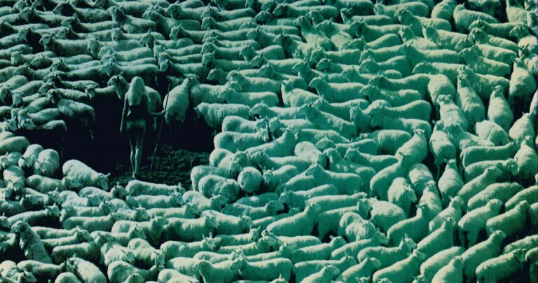 Bergère nue entourée de moutons