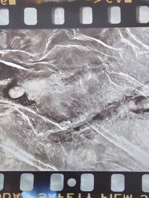 "Nageuses opposées" - deux femmes nues qui se baignent - une carte postale originale d'une photo de Michael Joseph