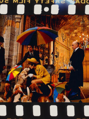 "La Chasse aux Parapluies" Photographie Publicitaire Schweppes, Carte Postale de Michael Joseph