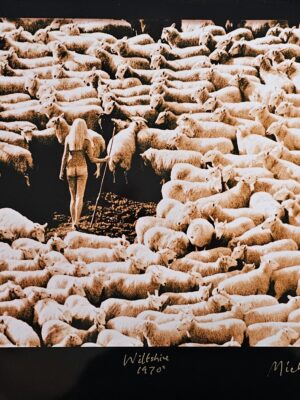 Nude in sheep, 1971 photo for the International Wool Foundation, unclothed shepherdess and her flock by Michael Joseph